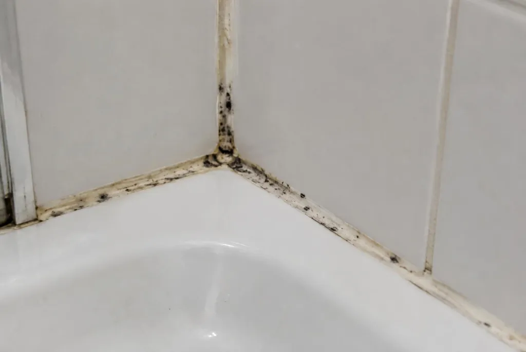 Kitbedrijf Huizen – beschimmelde kitranden